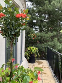 a balcony with potted plants on the side and trees in the backgrounnd