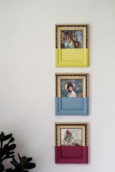 three framed pictures hang on the wall next to a potted plant