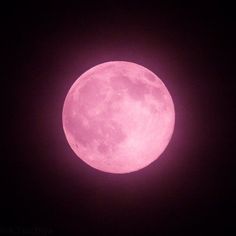 the full pink moon is seen in the dark sky