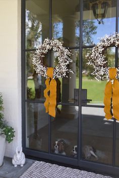 two dogs are sitting in front of a door with wreaths on the windowsill