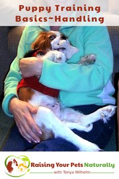 a woman sitting on a couch holding a dog with the caption puppy training basics - handling