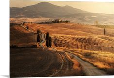 a dirt road in the middle of an open field with mountains in the back ground