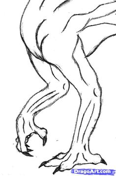 a drawing of a creature with long legs and large claws, standing on one leg