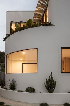 a white building with plants on the roof