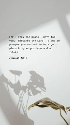 a plant casts a shadow on a white wall with a bible verse written below it