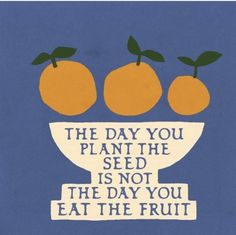 two oranges sitting on top of a bowl that says, the day you plant the seed is not the day you eat the fruit