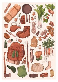 an illustration of various items that include carrots, mushrooms and other things to eat