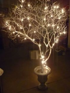 a lighted tree in a pot on the ground