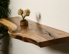 a small potted plant sitting on top of a wooden shelf next to a wall