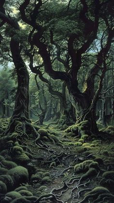 an image of a forest scene with trees and moss