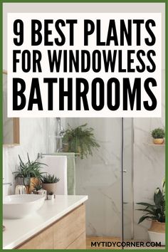 bathroom with plants in the window and text overlay that reads 9 best plants for windows bathrooms