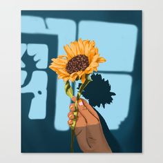 a hand holding a sunflower in front of a blue background with the shadow of a window