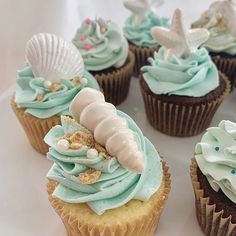 several cupcakes with blue frosting and seashells on them sitting on a plate