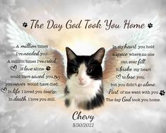 a black and white cat with angel wings on it's head, next to a poem