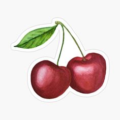 two cherries with green leaves sticker