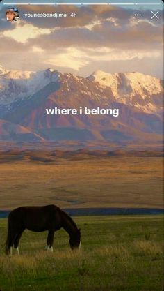 a horse grazes in a field with mountains in the background, where i belong