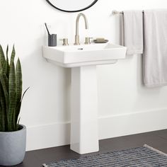 a white sink sitting under a round mirror next to a potted plant and rug