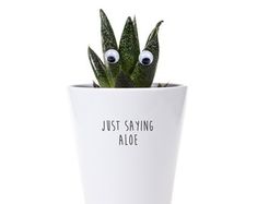 a plant with googly eyes sitting in a white pot that says water me mother succa