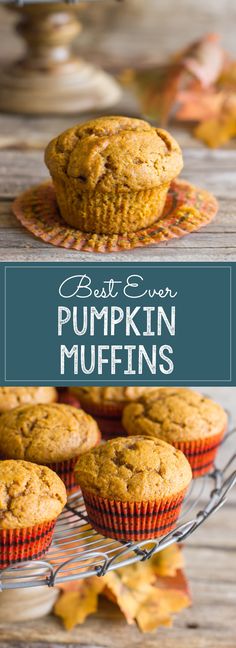 pumpkin muffins on a wire cooling rack with leaves around it and the title overlay reads best ever pumpkin muffins