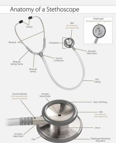 the anatomy of a stethoscope