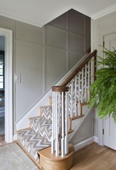 a stair case next to a plant in a room with white walls and wood floors