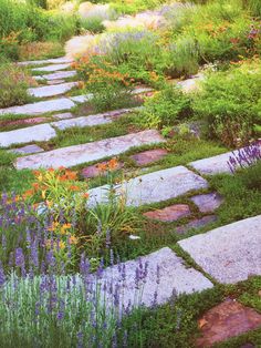 a stone path surrounded by flowers and grass