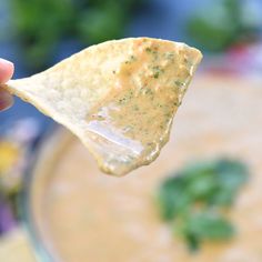 a tortilla chip being held up to show it's melted cheese and cilantro