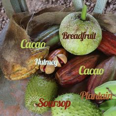 an assortment of fruits and vegetables sitting in a basket on top of a wooden table