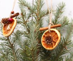 an ornament hanging from a pine tree with cinnamon and orange slices on it