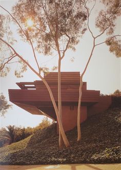 a house on the side of a hill with trees growing out of it's sides