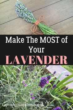 lavender flowers with text overlay that reads make the most of your lavender planter