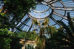 the inside of a glass dome with palm trees