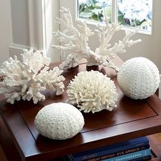 some white corals are sitting on a wooden table near a window and bookshelf