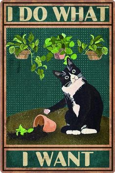 a black and white cat sitting in front of a potted plant with the words i do what i want