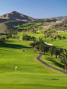 a golf course surrounded by mountains and palm trees