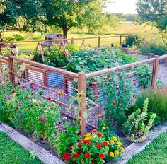 a garden filled with lots of different types of flowers and plants next to a fence