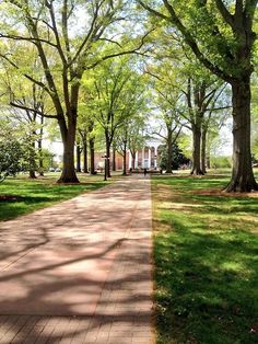 the walkway is lined with trees and grass