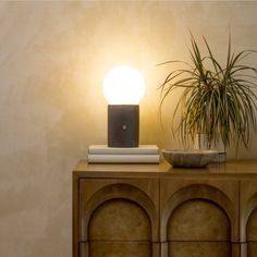 a table lamp sitting on top of a wooden cabinet next to a potted plant