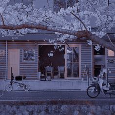 two bicycles are parked in front of a building with cherry blossoms on the tree branches