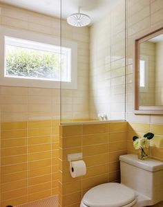 a white toilet sitting next to a sink in a bathroom under a window with a mirror above it