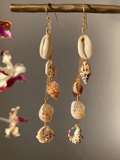 tiny shell collection in matched pair dangling gold filled chain earrings on gold filled french earwires Handmade Shell Jewelry, Shell Earrings Diy, Beachy Earrings, Sea Shell Earrings, Art Coquillage, Surf Jewelry, Beachy Jewelry, Seashell Earrings, Shell Collection