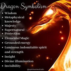 an image of a dragon with the words, dragon symbol and description on it's side