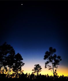 the sun is setting behind some trees