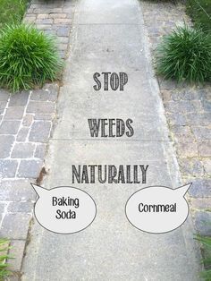 the words stop weeds, naturally baking soda and cornmeal are shown in two separate speech bubbles