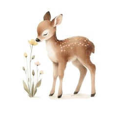 a little fawn standing next to a flower on a white background with watercolors