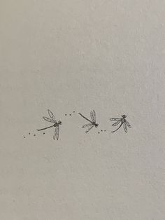 three black and white drawings of dragonflies on a wall