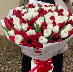 a woman holding a bouquet of red and white tulips