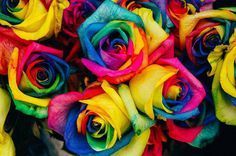 a bunch of multicolored roses are arranged together