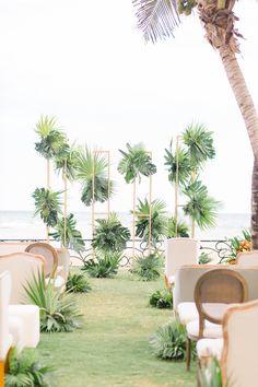 an outdoor ceremony setup with chairs and palm trees