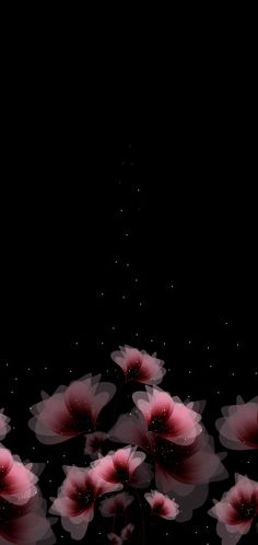 red flowers floating in the water on a black background with stars and dots around them